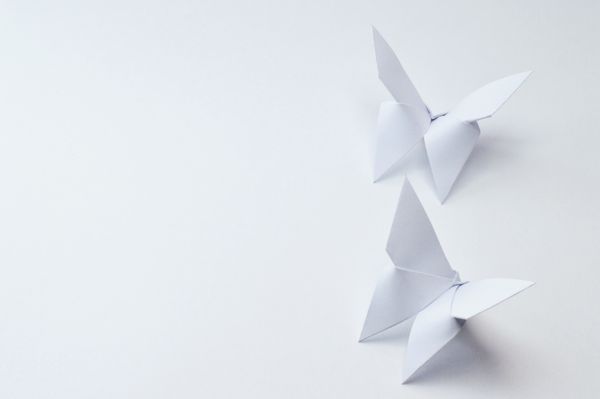Origami in Engineering and Mathematics Research: The Butterfly Affect